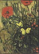 Vincent Van Gogh Poppies and Butterflies (nn04) China oil painting reproduction